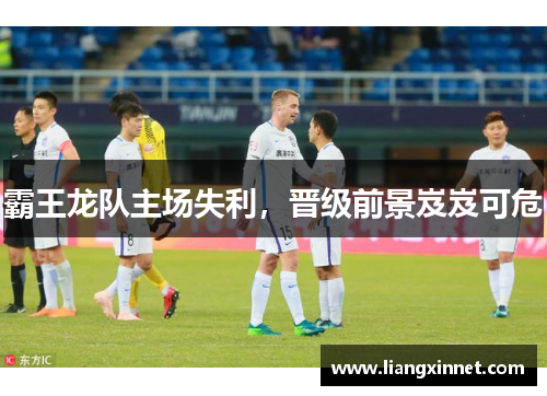 霸王龙队主场失利，晋级前景岌岌可危
