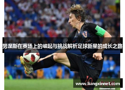 努涅斯在赛场上的崛起与挑战解析足球新星的成长之路